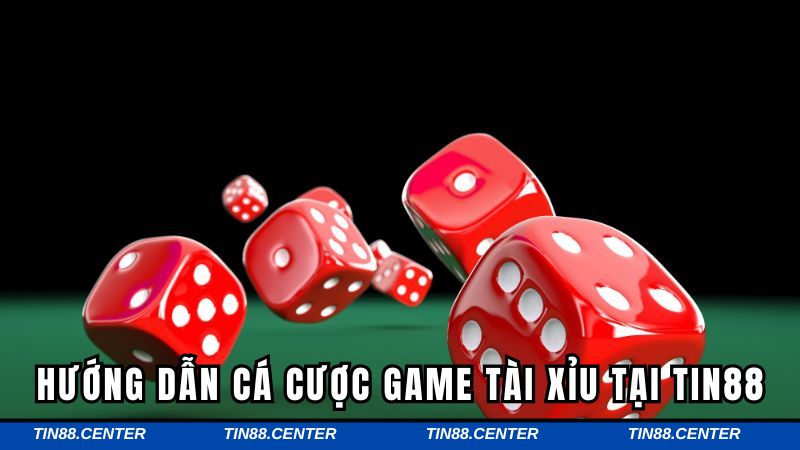 Từng bước tham gia cá cược hiệu quả nhất