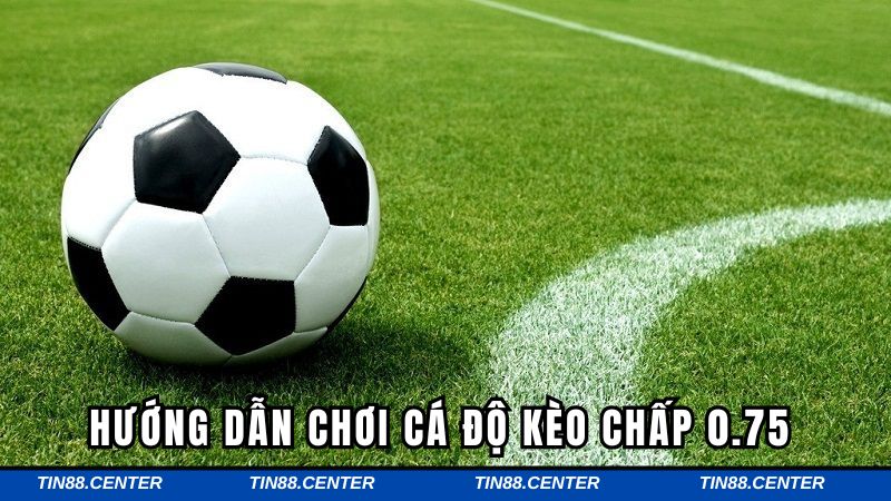 Từng bước tham gia cá độ hiệu quả tại Tin88