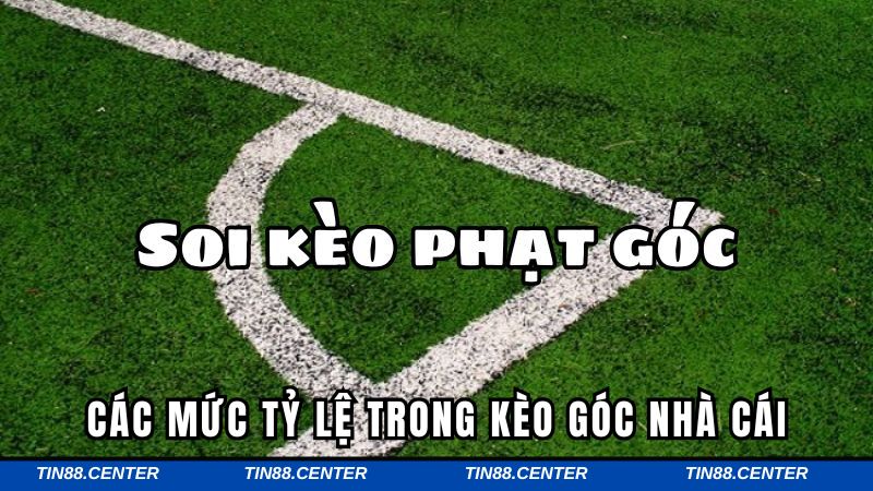 Tổng hợp các mức tỷ lệ cược phổ biến nhất