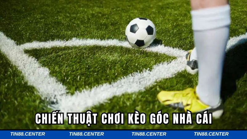 Mẹo cá độ ăn thưởng đậm tại sân chơi