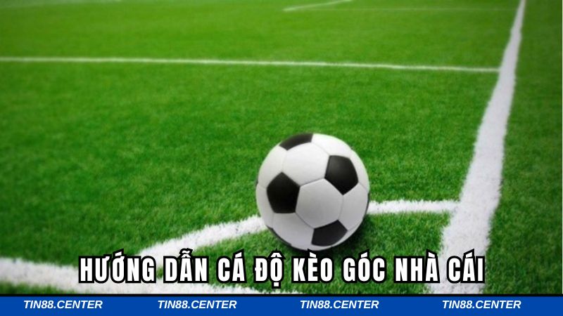 Từng bước tham gia cá độ tại Tin88