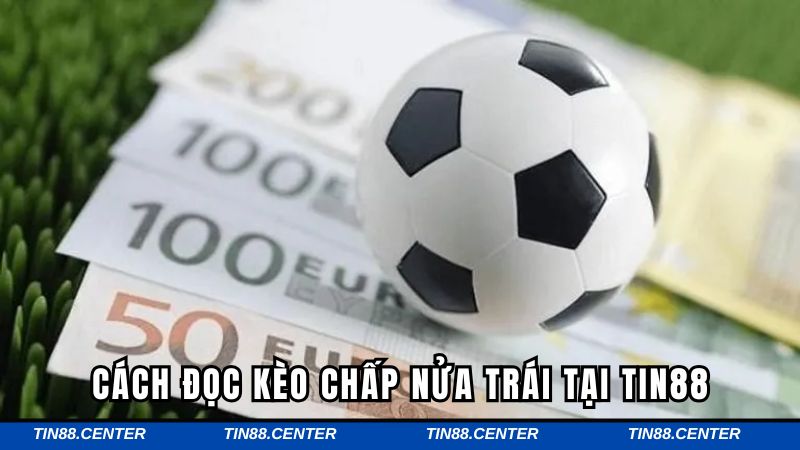 Cách đọc kèo chấp nửa trái tại TIN88