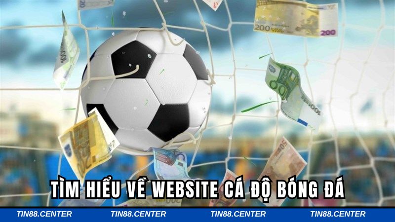 Website cá độ bóng đá sẽ được hiểu như thế nào?